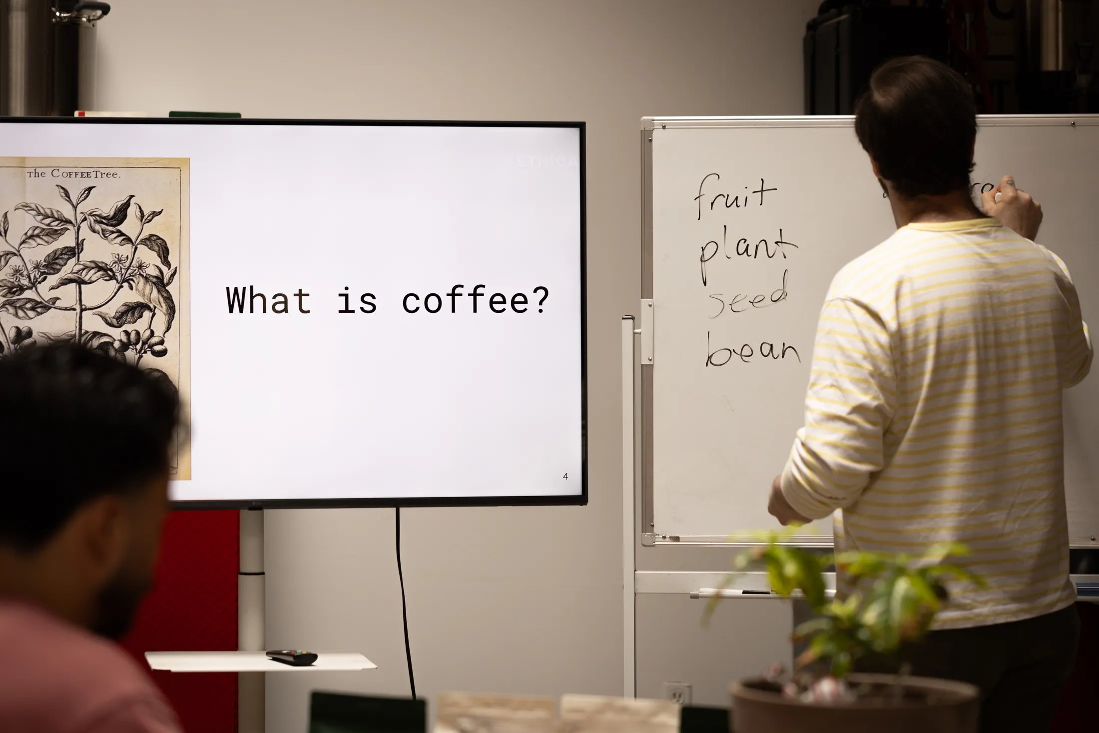Coffee Courses at Ethica