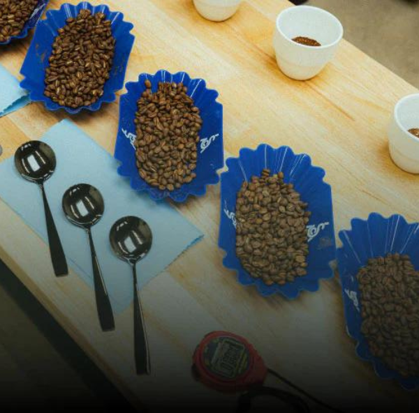 a table prepared with coffee, spoons and fresh coffee for a cupping