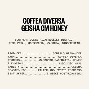 ETHICA SPECTRUM - Coffea Diversa Geisha Carbonic Maceration Honey