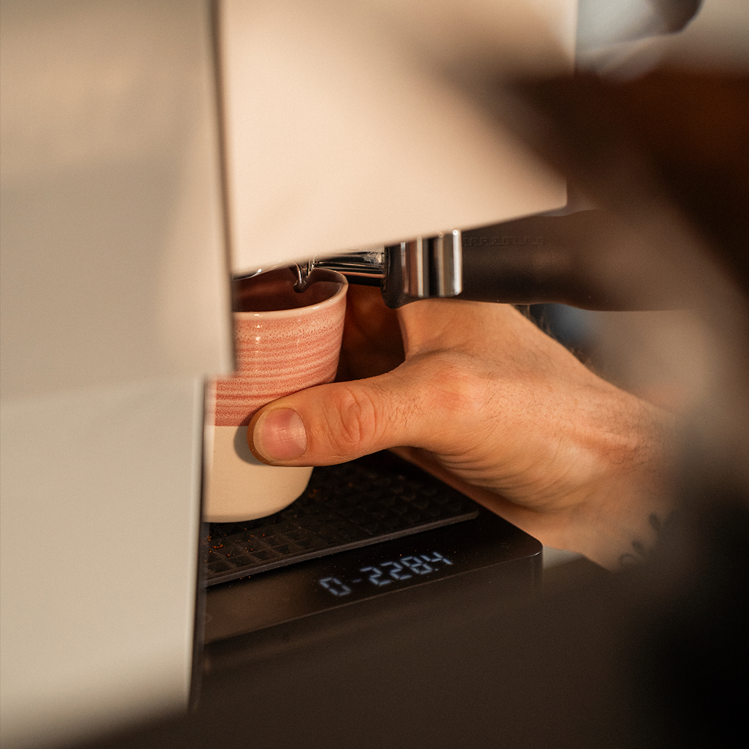 Home Barista Basics