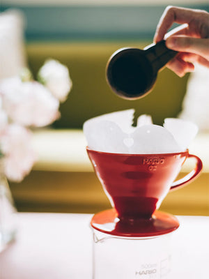 HARIO V60-02 PLASTIC DRIPPER