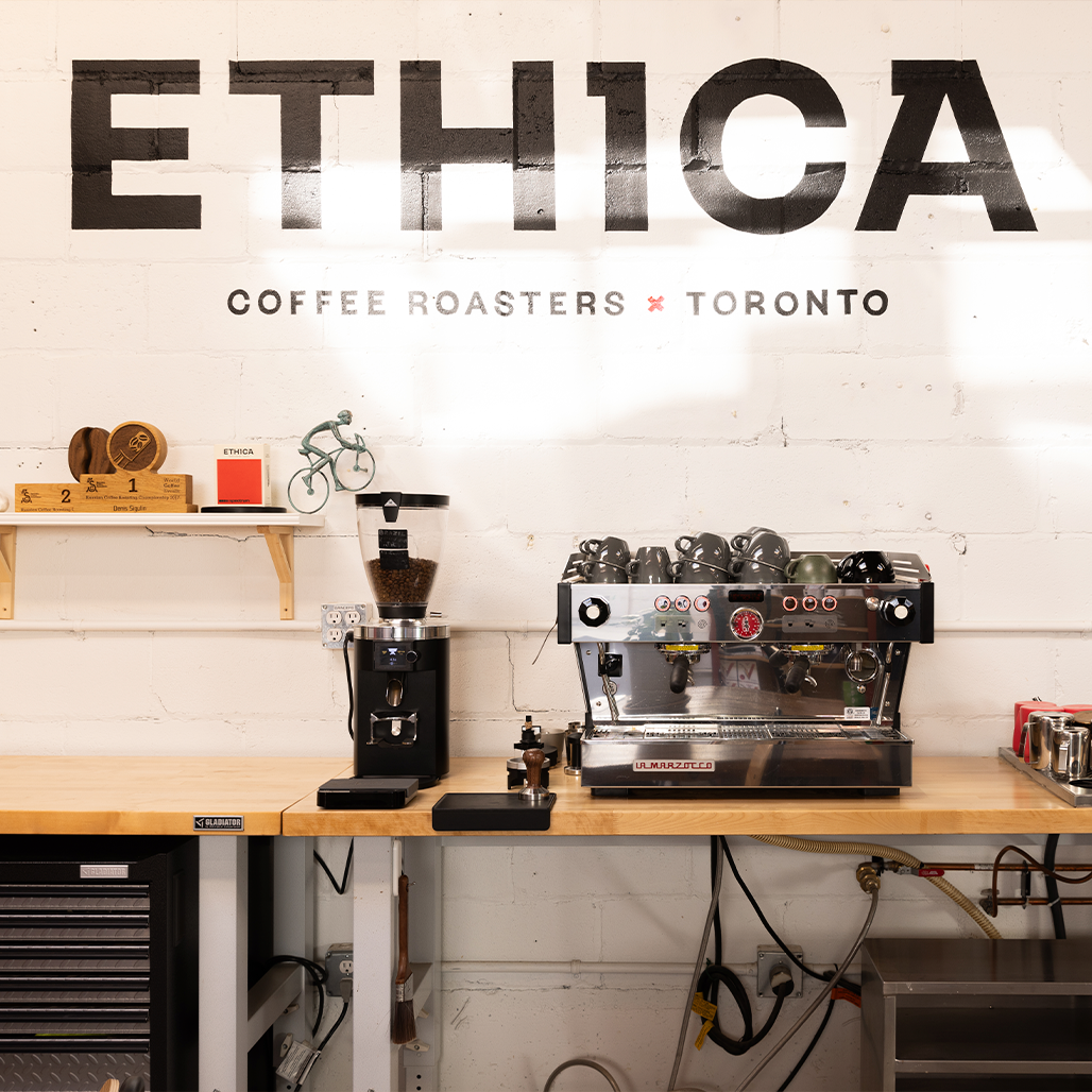 Introduction to Specialty Coffee