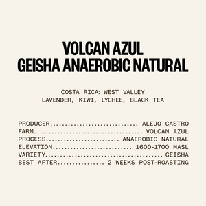 ETHICA SPECTRUM - Volcan Azul Typica & Geisha Gift Bundle