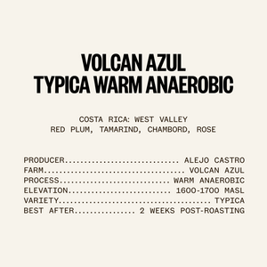 ETHICA SPECTRUM - Volcan Azul Typica & Geisha Gift Bundle